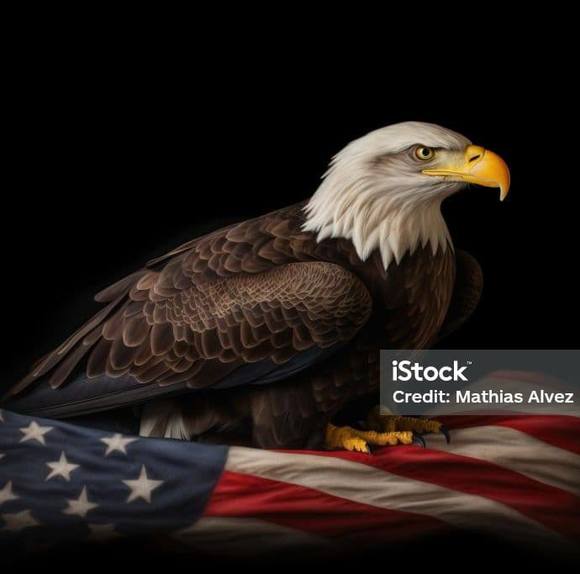 floatingeagle